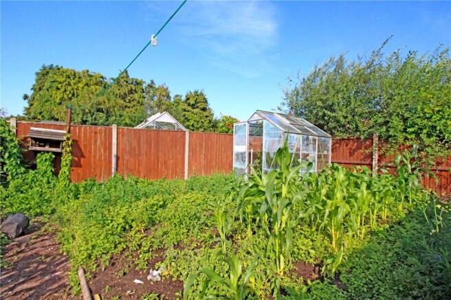 Vegetable Patch