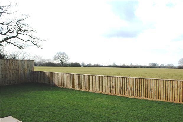 Rear garden / view