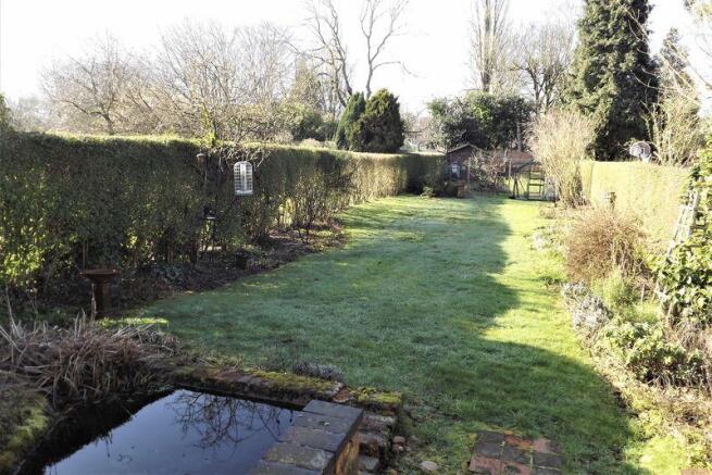 Garden 1