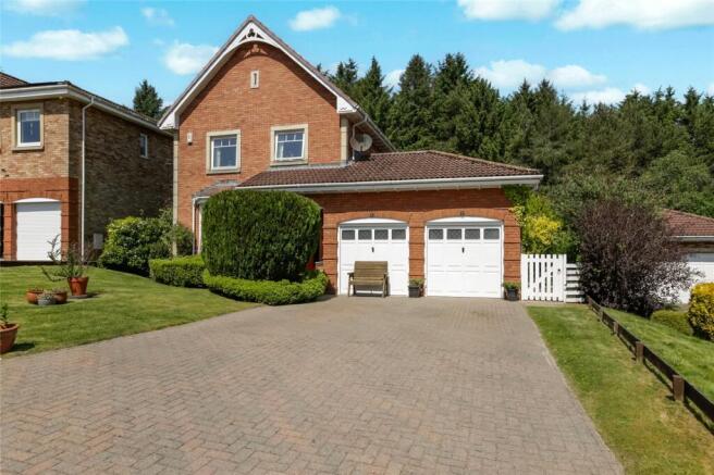 Picture No. 21