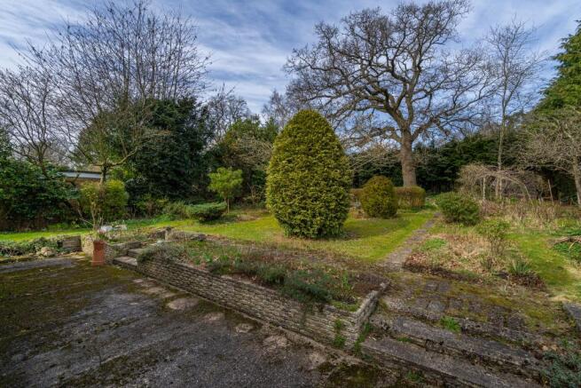 Back Garden