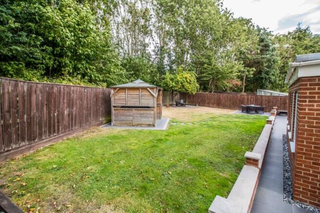 Back Garden. 