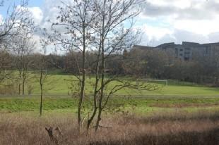 FRONT OUTLOOK