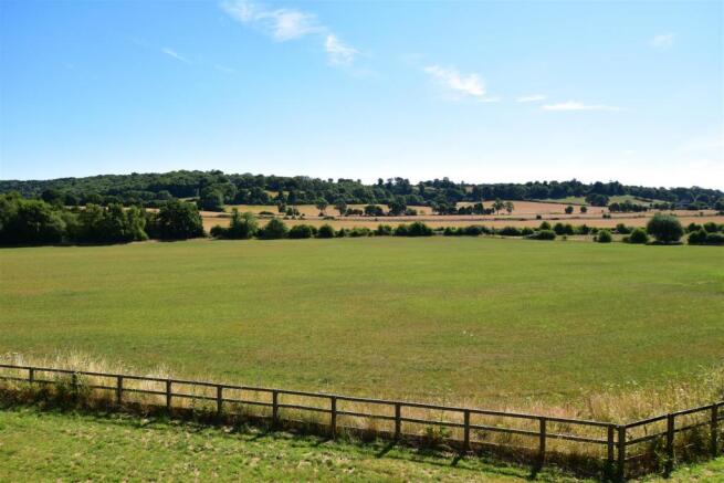 view of fields.jpg