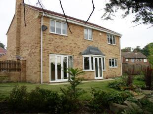 Rear Elevation