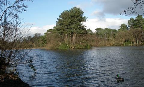 Scenic Photo