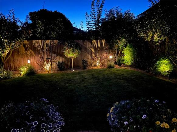 Garden At Night