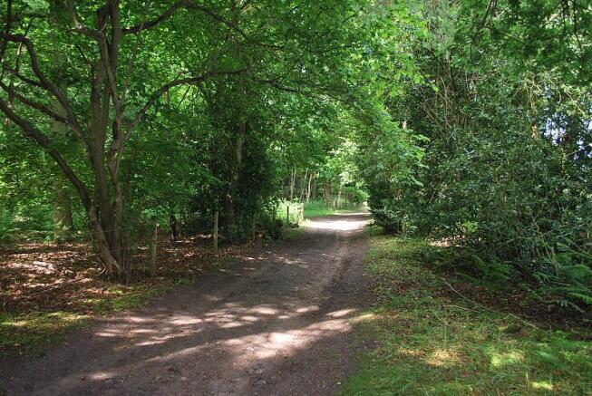 Driveway
