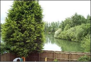 View from bedroom