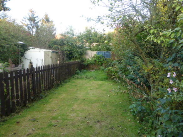 Photo 13
