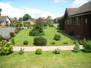 Photo 5