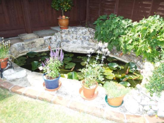 Pond