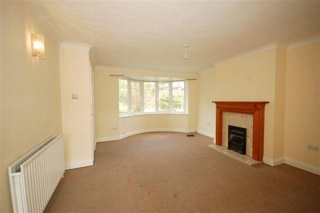 Picture No.14