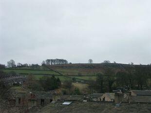 View No. 1