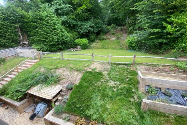 garden June 22.jpg