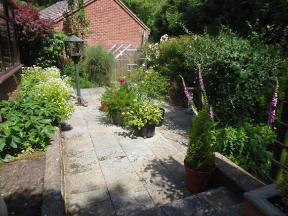 Photo 7
