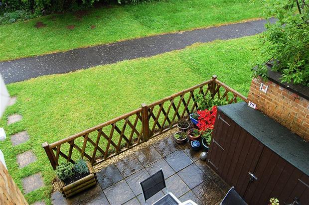 Garden / Exterior