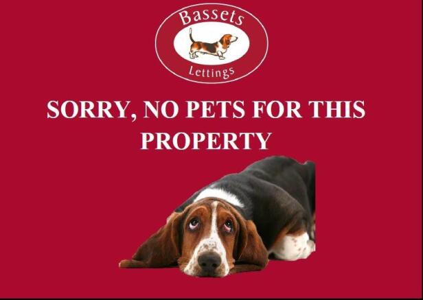 Sorry No pets