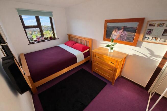 Picture 17