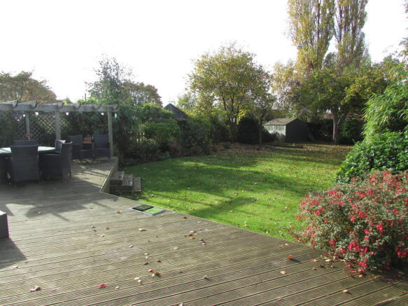 Photo 15