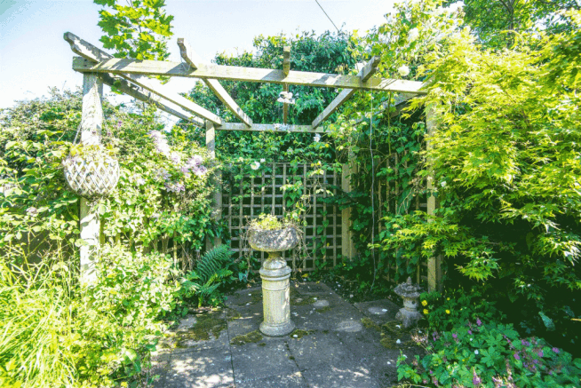_DSC8594.gif