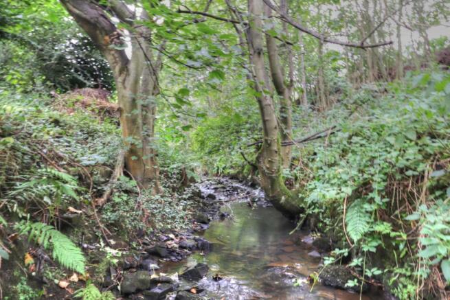 Brook at the bottom of the garden