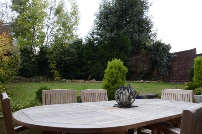 Garden at Back