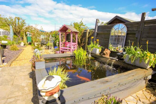 Pond.jpg
