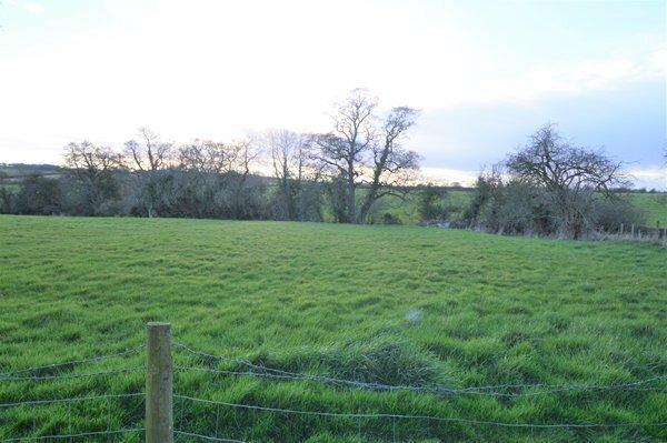 view to rear of garden