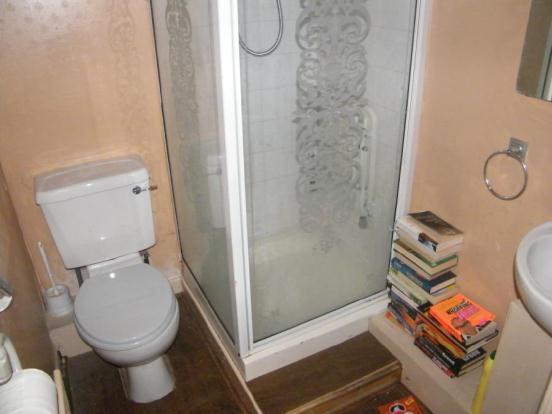 Downstairs Shower Rm