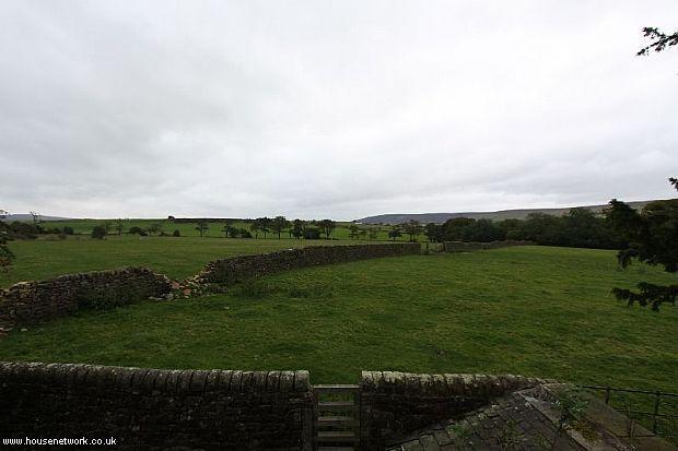 Photo 44