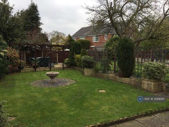 Back Garden