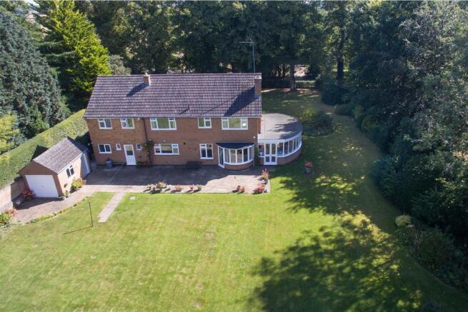 DJI_0102.jpg