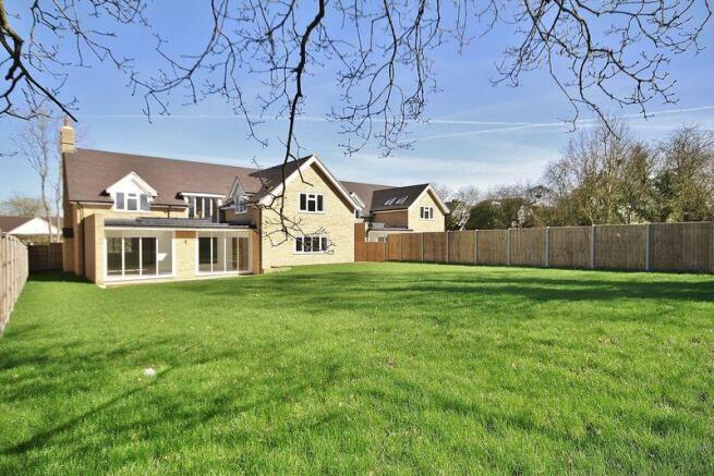 Rear Plot 2