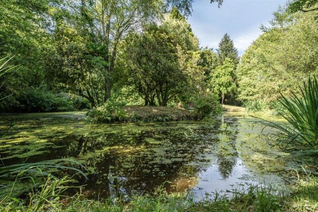 Pond