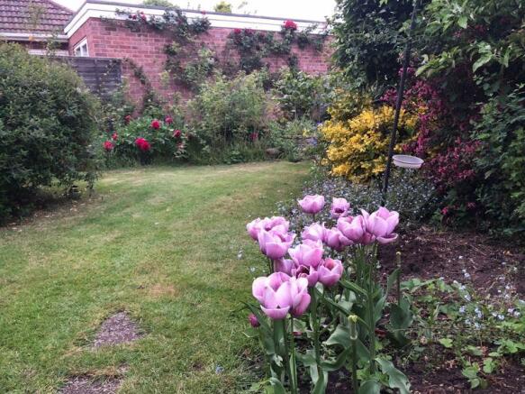 Photo 29