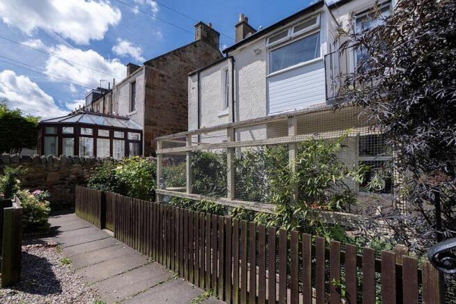 Back Garden