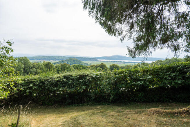 View from Garden