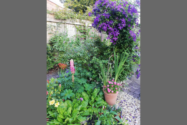 Vendor Garden 3.JPG