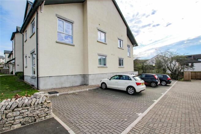 Picture 11