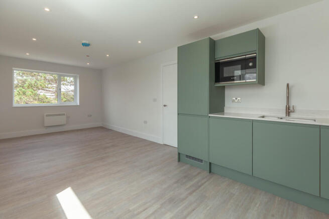 Kitchen/Living Area