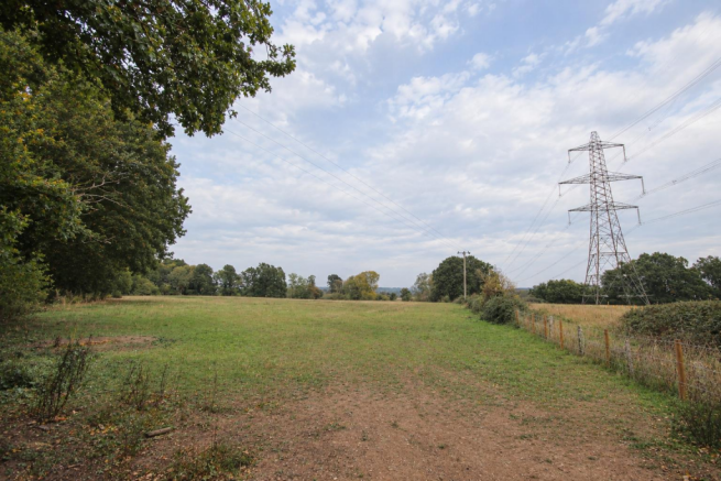 Daisy Hill 3
