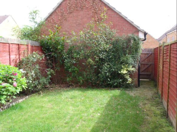 BACK GARDEN