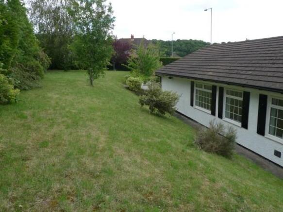 LARGE LAWN