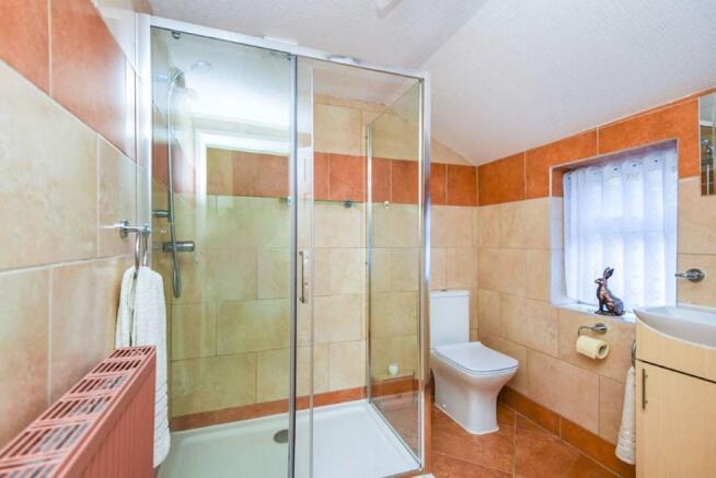 Ground Floor Shower
