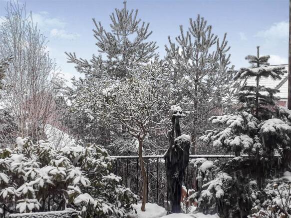 SEASONAL PICTURES OF THE GARDEN
