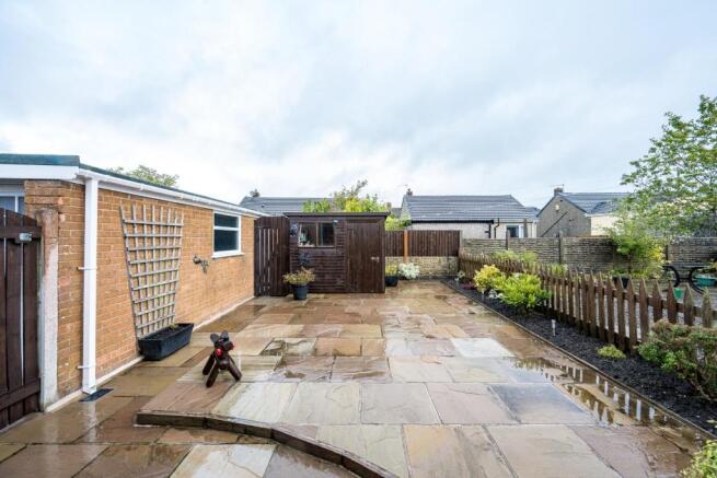 back garden.jpg