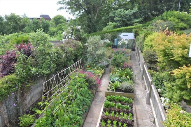 Elevated view of garden