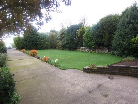Picture 8
