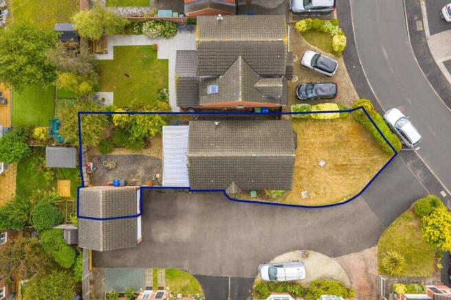 Garden Birdseye